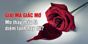 Giải mã giấc mơ thấy máu chi tiết chuẩn xác nhất