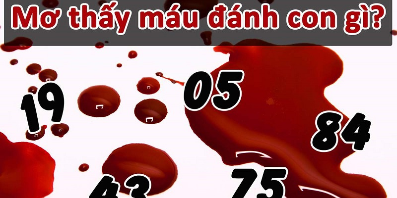 Mơ thấy máu gắn liền với con số may mắn nào 