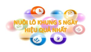 Lô kép khung 5 ngày được nhiều người tin tưởng 