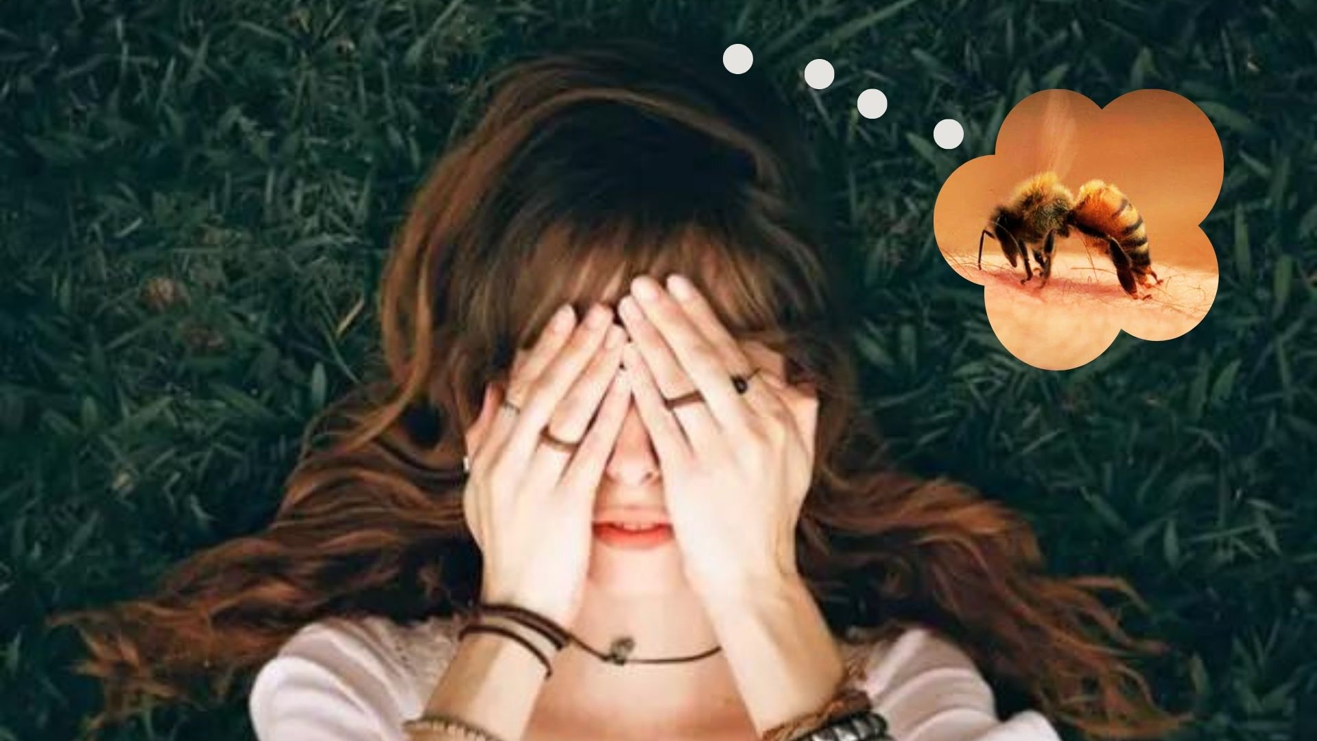 Giấc mơ bị bị ong đốt lành hay dữ?